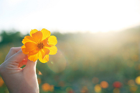  心向明(míng)月(yuè)共繪圓滿